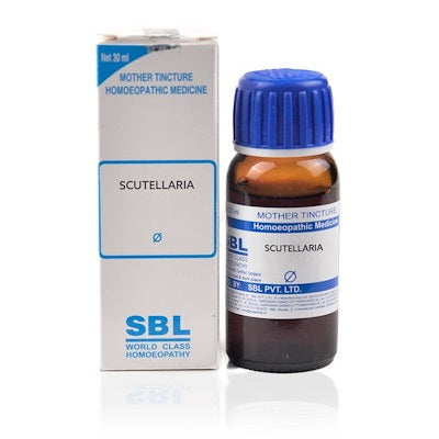 SBL-Scutellaria-Homeopathy-Mother-Tincture-Q.