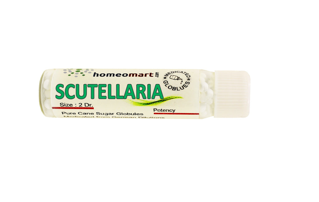 Scutellaria Homeopathy Medicated Pills 6c, 30C, 200C, 1M