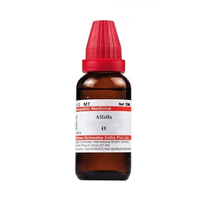 Schwabe-Alfalfa-Homeopathy-Mother-Tincture-Q