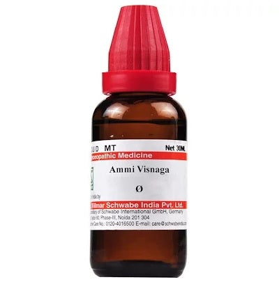 Schwabe Ammi Visnaga Homeopathy Mother Tincture Q