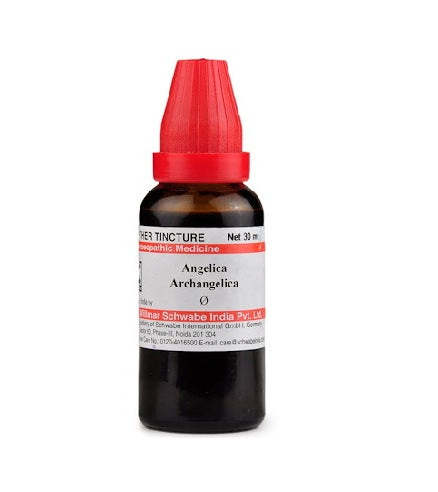 Schwabe Angelica Archangelica Homeopathy Mother Tincture Q in 30ml