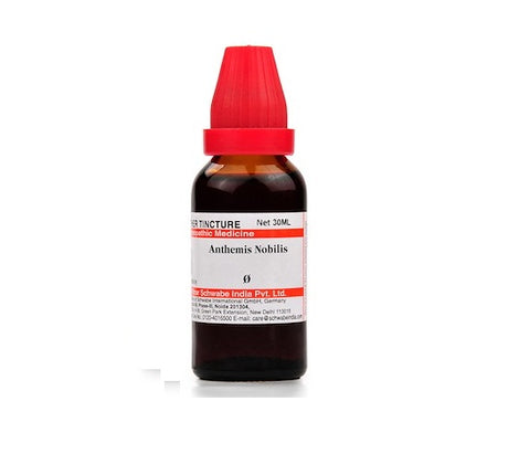 Schwabe Anthemis Nobilis Homeopathy Mother Tincture Q