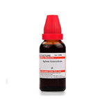 Schwabe Apium Graeolens Homeopathy Mother Tincture Q