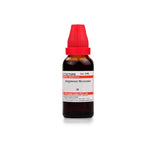 Schwabe Argemone Mexicana Homeopathy Mother Tincture Q