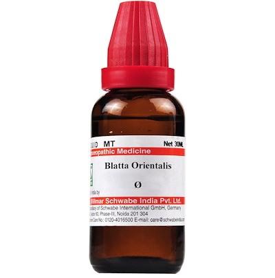 Schwabe-Blatta-Orientalis-Homeopathy-Mother-Tincture-Q  in 30ml pack