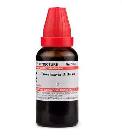 Schwabe-Boerhaavia-Diffusa-Homeopathy-Mother-Tincture-Q.