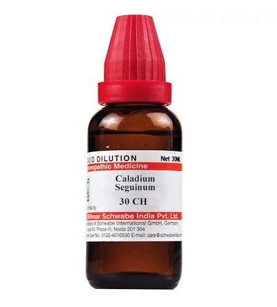 Schwabe-Caladium-Seguinum-Homeopathy-Dilution-6C-30C-200C-1M-10M