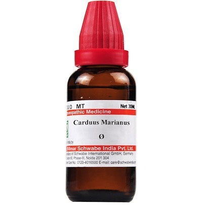 Schwabe-Carduus-Marianus-Homeopathy-Mother-Tincture-Q