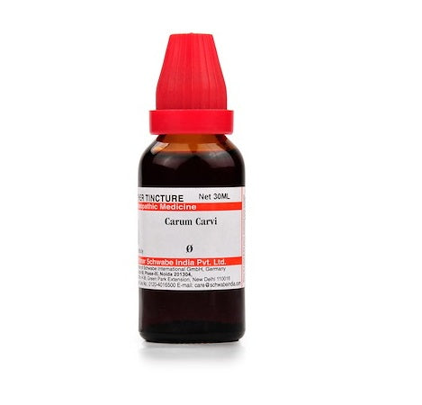 Schwabe-Carum-Carvi-Homeopathy-Mother-Tincture-Q.