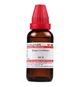 Schwabe-Elaps-Corallinus-Homeopathy-Dilution-6C-30C-200C-1M-10M
