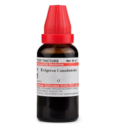 Schwabe-Erigeron-Canadensis-Homeopathy-Mother-Tincture-Q.