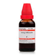 galega officinalis mother tincture, galega q uses, galega officinalis homeopathy, galega drops for lactation, breast milk increase homeopathy, galega q benefits, homeopathy for diabetes control, galega tincture for milk supply,natural remedy for anemia homeopathy, buy galega officinalis q online, appetite booster homeopathy drops, homeopathy for weakness and fatigue