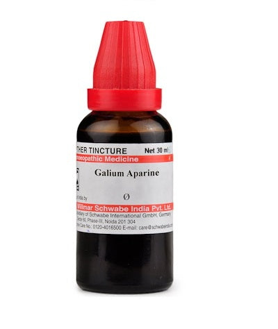 Schwabe Galium Aparine Homeopathy Mother Tincture Q