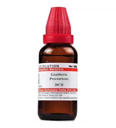 Schwabe-Gaultheria-Procumbens-Homeopathy-Dilution-6C-30C-200C-1M-10M