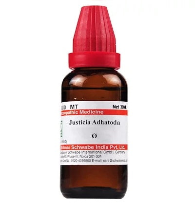 Schwabe-Justicia-Adhatoda-Homeopathy-Mother-Tincture-Q