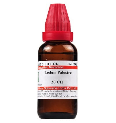 Schwabe-Ledum-Palustre-Homeopathy-Dilution-6C-30C-200C-1M-10M