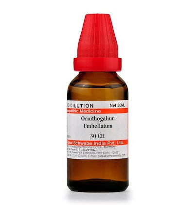 Schwabe Ornithogalum Umbellatum Homeopathy Dilution 6C, 30C, 200C, 1M, 10M