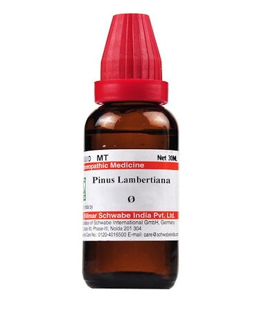 Schwabe-Pinus-Lambertiana-Homeopathy-Mother-Tincture-Q