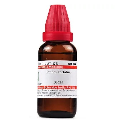 Schwabe Pothos Foetidus Homeopathy Dilution 6C, 30C, 200C, 1M, 10M