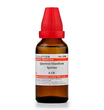 Quercus E Glandibus Homeopathy Dilution 6C, 30C, 200C, 1M, 10M