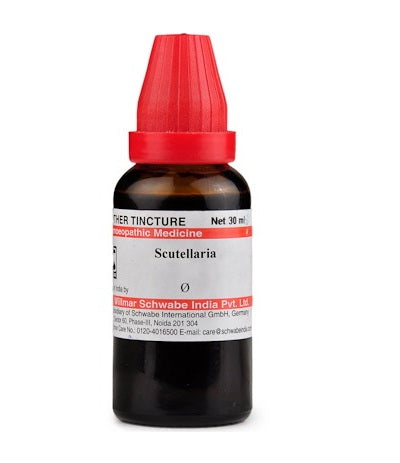 Schwabe-Scutellaria-Homeopathy-Mother-Tincture-Q.