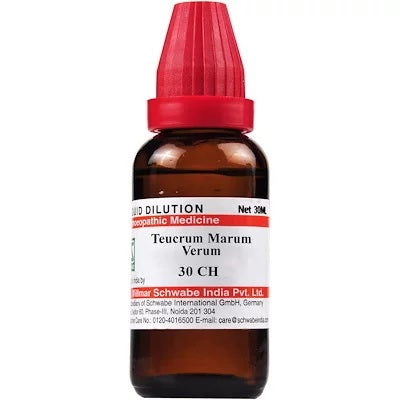 Schwabe Teucrium Marum Verum Homeopathy Dilution 6C, 30C, 200C, 1M, 10M