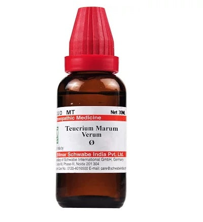 Schwabe Teucrium Marum Verum Homeopathy Mother Tincture Q