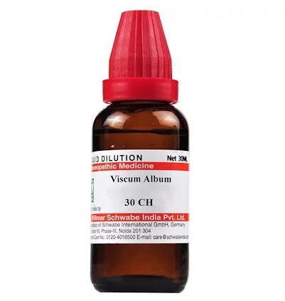 Schwabe Viscum Album Homeopathy Dilution 6C, 30C, 200C, 1M, 10M