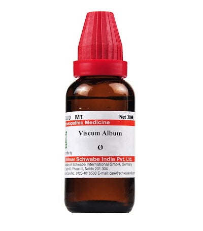 Schwabe-Viscum-Album-Homeopathy-Mother-Tincture-Q