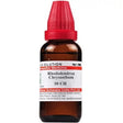 Rhododendron Chrysanthum homeopathy, Rhododendron Chrysanthum dilution, Rhododendron homeopathic medicine, Rhododendron Chrysanthum medicine, Rhododendron Chrysanthum uses, Rhododendron Chrysanthum benefits, buy Rhododendron Chrysanthum, Rhododendron Chrysanthum online, Rhododendron dilution online, Rhododendron homeopathy online, Rhododendron Chrysanthum drops, Rhododendron Chrysanthum homeopathic drops, homeopathic Rhododendron remedy