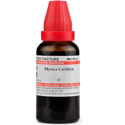 myrica cerifera, bayberry, mother tincture, liver support, jaundice, fatty liver, digestion, flatulence, poor appetite,