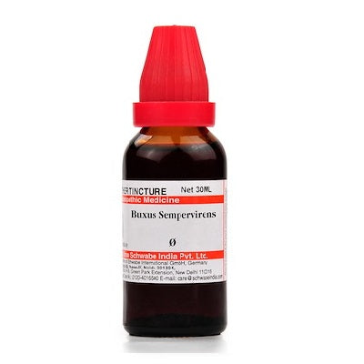Schwabe Buxus Sempervirens Homeopathy Mother Tincture Q