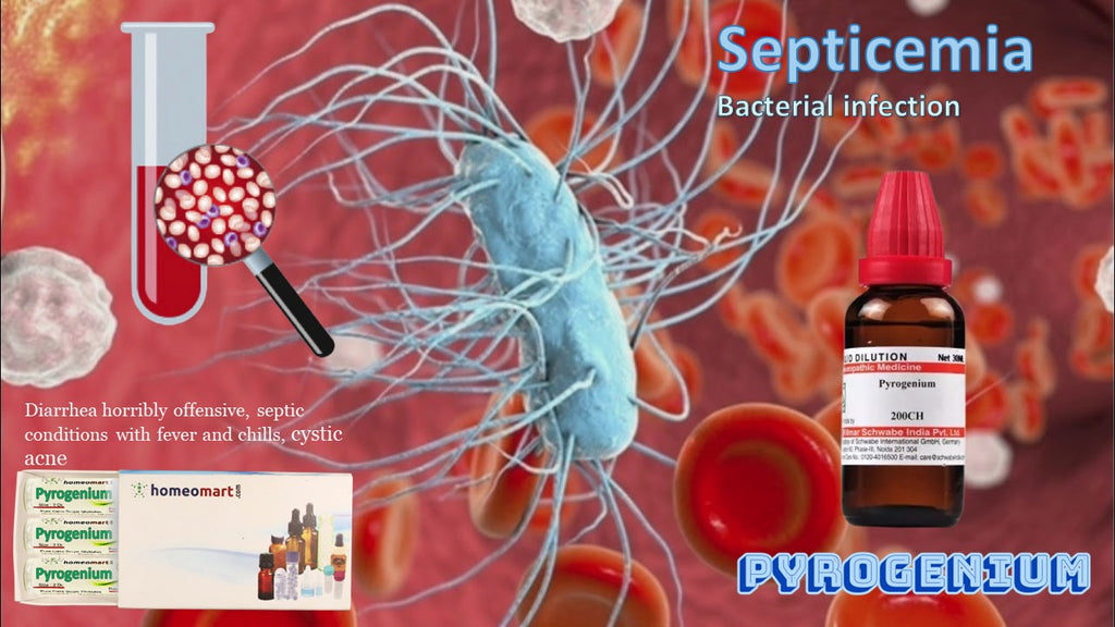 septicemia treatment homeopathy medicine pyrogenium