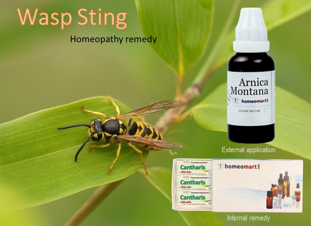 Wasp sting treatment in homeopathy