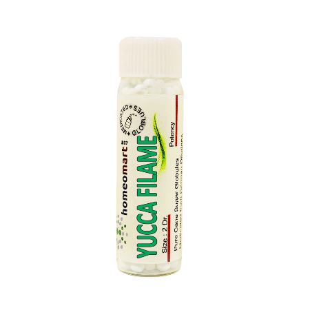 Yucca Filamentosa 2 Dram homeopathy Pills 6C, 30C, 200C, 1M, 10M