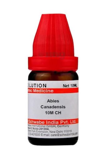 Schwabe Abies Canadensis Homeopathy Mother Tincture Q