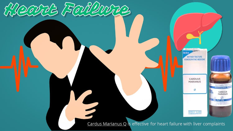  homeopathic carduus Mar Q for heart failure with liver failure treatment