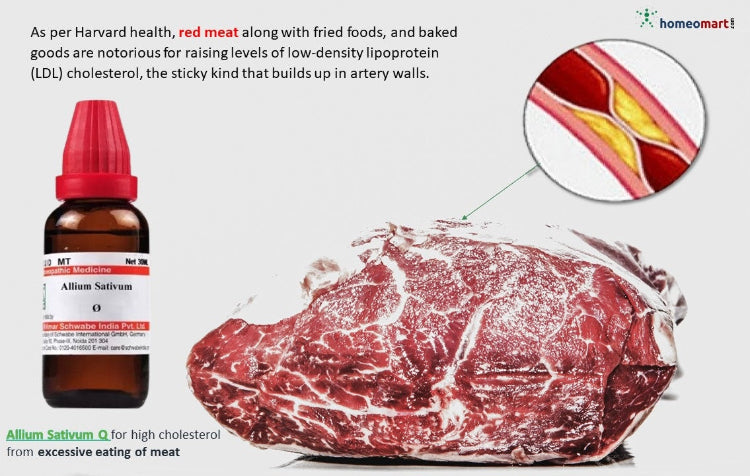  worst foods for high cholesterol and homeopathy medicine for high cholesterol from excessive red meat