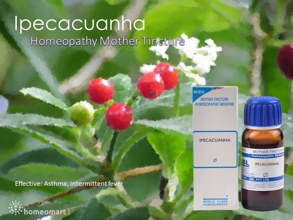 Ipecacuanha mother tincture medicine in homeopathy benefits