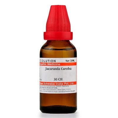jacaranda caroba dilution, jacaranda caroba homeopathy, jacaranda procera homeopathic medicine, jacaranda caroba drops, rheumatism homeopathic remedy, urinary discomfort homeopathy, male health homeopathic medicine, joint pain homeopathic remedy, jacaranda caroba medicine, homeopathic remedy for morning sickness, urethral irritation homeopathy, buy jacaranda caroba online, rheumatic pain homeopathy, urinary tract support homeopathy, homeopathic dilution for joint stiffness