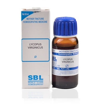 SBL Lycopus Virginicus Homeopathy Mother Tincture Q, lycopus virginicus mother tincture, lycopus virginicus q, bugleweed homeopathy, thyroid support homeopathy, palpitations homeopathic remedy, rapid heartbeat homeopathy, heart health homeopathic medicine,