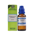 SBL Magnetis Polus Australis Homeopathy Dilution