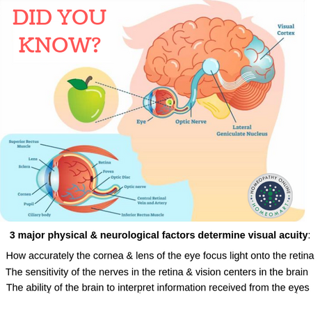 visual acuity diagram